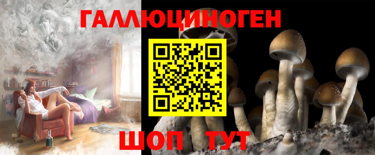 Галлюциногенные грибы мицелий Кубинка